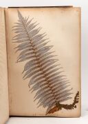 "NEW ZEALAND FERNS" by ERIC CRAIG, circa 1880. A stunning tome of pressed New Zealand fern specimens attractively displayed and captioned. Title page includes Maori cartes-de-visite portraits and lithograph view "SCENE IN TIKITAPU BUSH NEAR OHINEMUTU". Re - 9