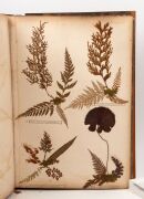 "NEW ZEALAND FERNS" by ERIC CRAIG, circa 1880. A stunning tome of pressed New Zealand fern specimens attractively displayed and captioned. Title page includes Maori cartes-de-visite portraits and lithograph view "SCENE IN TIKITAPU BUSH NEAR OHINEMUTU". Re - 10