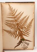 "NEW ZEALAND FERNS" by ERIC CRAIG, circa 1880. A stunning tome of pressed New Zealand fern specimens attractively displayed and captioned. Title page includes Maori cartes-de-visite portraits and lithograph view "SCENE IN TIKITAPU BUSH NEAR OHINEMUTU". Re - 11