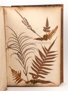 "NEW ZEALAND FERNS" by ERIC CRAIG, circa 1880. A stunning tome of pressed New Zealand fern specimens attractively displayed and captioned. Title page includes Maori cartes-de-visite portraits and lithograph view "SCENE IN TIKITAPU BUSH NEAR OHINEMUTU". Re - 12