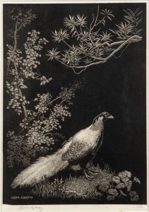 LIONEL ARTHUR LINDSAY (1874-1961), Silver Pheasant, woodblock print, signed lower left "Lionel Lindsay", 22 x 15cm, 42 x 33cm overall