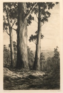 ERNEST EDWIN ABBOTT (1888-1973), Bush View, dry point etching, signed and titled in the lower margin, 31 x 21cm, 57 x 47cm overall