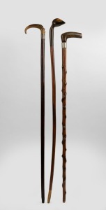 Three antique walking sticks with carved horn handles, 19th and 20th century, the largest 93cm high