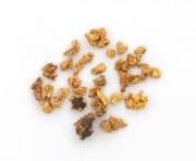 Assorted natural gold specimens, 18.6 grams total