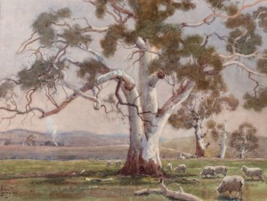 ALLAN BERNALDO (1900-1988), (red gums and sheep), watercolour, signed lower left "Allan T. Bernaldo", 37 x 49cm, 59 x 69cm overall