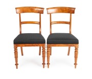 A pair of Colonial huon pine spade back dining chairs with centurion carved skirt decoration to the legs and black horsehair upholstered seats, Tasmanian origin, circa 1840s, 87cm high - 2