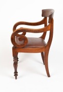 An antique Colonial Australian cedar carver chair with Trafalgar back, scroll supports, serpentine front rail and faceted legs, circa 1850, ex Clifford Craig collection, 90cm high, 54cm across the arms - 2