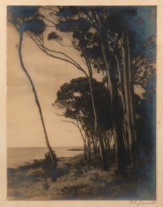 A. E. JARRATT (1886-1962), three black and white albumen photographic prints, signed on the mounts lower right "A. E. Jarratt", early 20th century, the largest sheet size 20.5 x 16cm, 39 x 32cm overall