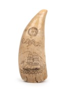A scrimshaw whale's tooth with tallship portrait engraved "FOR GET ME NOT" with knight engraved on the reverse, ​​​​​​​16cm high