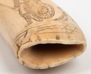 A scrimshaw whale's tooth with tallship portrait engraved "FOR GET ME NOT" with knight engraved on the reverse, ​​​​​​​16cm high - 3