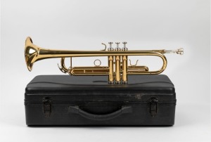 SOUNDZ&nbsp;trumpet in case, the case 53cm wide
