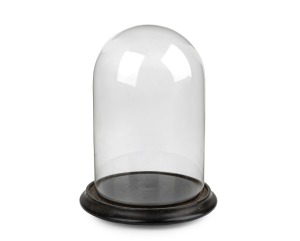 A vintage glass dome on wooden base, 19th/20th century, ​​​​​​​26cm high overall