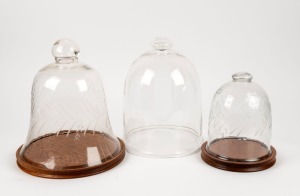 Three assorted reproduction glass bell covers, two with timber bases, 21st Century, ​​​​​​​the largest 31cm high.