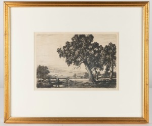 ERNEST EDWIN ABBOTT (1888-1973), Farm Gums, dry point etching, signed and titled in the lower margin, ​​​​​​​21 x 30cm, 42 x 50cm overall