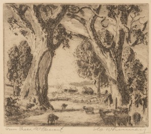 GEORGE WHINNEN (1891-1950), Gum Trees, Mt. Pleasant, dry point etching, signed and titled in the lower margin, 12 x 13cm, 35 x 36cm overall