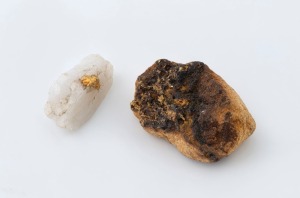 Two natural gold ore specimens, ​​​​​​​the larger 2.5cm wide