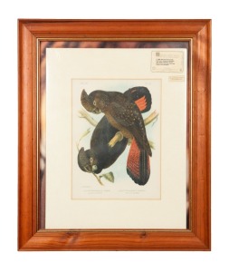 GRACIUS JOSEPH BROINOWSKI (1837-1913), Leach's Cockatoo / Banksia Cockatoo, colour lithograph print, 32 x 24cm, 61 x 51cm overall