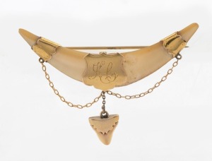 An antique 15ct gold mounted mother of pearl brooch with sharks tooth pendant drop, late 19th century, stamped "15ct", 7cm wide