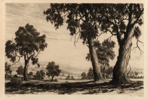 ERNEST EDWIN ABBOTT (1888-1973), Grey Gums, dry point etching, signed and titled in the lower margin, ​​​​​​​21 x 30cm, 43 x 51cm overall