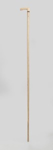 An antique walking stick with whale's tooth handle, baleen spacer and whalebone shaft, 19th century, 96cm high