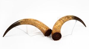 A pair of Australian powder horns engraved with animals, ships, Aboriginal warrior, crown, kangaroo and emu, both engraved "THIS WAS DONE BY HENRY CAROLYN" and dated "1854" and "1855", both with carved cedar end pieces. 46cm and 47cm long