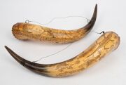 A pair of Australian powder horns engraved with animals, ships, Aboriginal warrior, crown, kangaroo and emu, both engraved "THIS WAS DONE BY HENRY CAROLYN" and dated "1854" and "1855", both with carved cedar end pieces. ​​​​​​​46cm and 47cm long - 2