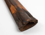 An antique swordfish bill, 19th century, ​​​​​​​95cm long - 8