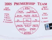 A Sydney Swans 2005 Premiership souvenir display comprising of a Swans jersey with the names and positions of the Premiership Team embroidered on the front surrounded by 21 signed cards and other unsigned cards, together with a plaque describing the four - 3