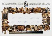"COLLINGWOOD FOOTBALL CLUB - A CENTURY OF PROUD TRADITION" limited edition display (#997/1000) signed by ten Collingwood greats, including Tony Shaw, Lou Richards, Bob Rose, Len Thompson, Peter Daicos&nbsp;and Des Tuddenham. Overall 70 x 100cm.