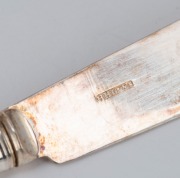 Antique fish cutlery set in original fitted leather box, 19th/ 20th century, retailed by "The Gift Store H.S. GRACE Watchmaker & Jeweller, Goulburn", the box 23cm wide - 3