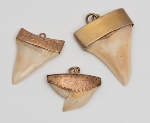 Three antique shark tooth pendants, two mounted in 9ct gold with engraved decoration, the other in gilt, 19th/20th century, the largest 6cm high overall including bow