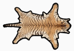 Van Ingen of Mysore attributed, impressive taxidermy Bengal tiger&nbsp;skin in fine condition retaining its claws, mounted to a later black felt backing, Indian origin, circa 1940, accompanied by CITES paperwork, 320cm long, 223cm wide.