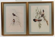 Twelve assorted framed prints and artworks, ​​​​​​​the largest 41 x 34cm overall - 6