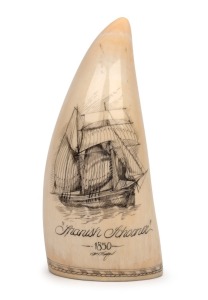 192 · GARY TONKIN scrimshaw whales's tooth with tallship portrait titled "SPANISH SCHOONER, 1850", signed lower centre "G. Tonkin", ​​​​​​​12.5cm high