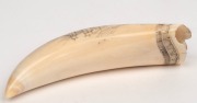 GARY TONKIN scrimshaw whale's tooth with whaling scene&nbsp;titled "Bringing in the Whale", signed lower left&nbsp;"G. Tonkin", 11.5cm wide - 2