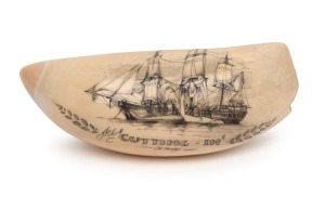 A scrimshaw whale's tooth with whaling scene titled "The Cutting", 11.5cm wide
