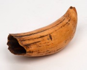 TABUA&nbsp;Fijian Chieftain's antique whale's tooth pendant, 19th century, 14cm wide - 2