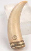 A scrimshaw whale's tooth with tall ship portrait in cartouche, signed Jesper, Albany, 1989, 14cm long - 2