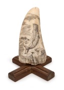 RENE DAVIDSON of Eden, New South Wales (Two Fold Bay), vintage scrimshaw whale's tooth with whaling scene titled "Breaching Sperm Whale", signed "Rene Davidson".&nbsp; Note: gift from Davidson to the current vendor 13cm high