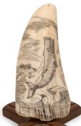 RENE DAVIDSON of Eden, New South Wales (Two Fold Bay), vintage scrimshaw whale's tooth with whaling scene titled "Breaching Sperm Whale", signed "Rene Davidson".&nbsp; Note: gift from Davidson to the current vendor 13cm high - 2