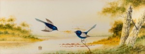 HERBERT HEPBURN CALVERT (1870-1923), White-winged Fairy-Wrens, watercolour, signed lower right "H.H. Calvert, 1913", 23 x 61cm, 88 x 46cm overall