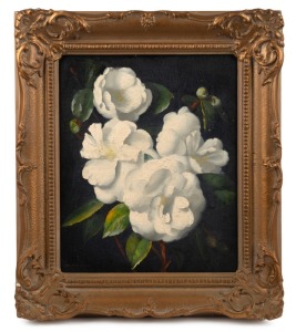 DUDLEY DREW (1924-2015), white flowers, oil on board, signed lower left, 30 x 24cm, 41 x 35cm overall