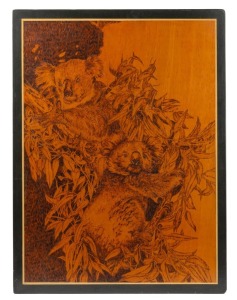 An impressive Australian pokerwork panel of two koalas in a gum tree, signed lower centre (illegible), 20th century, 61 x 45cm overall