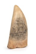 A scrimshaw whale's tooth with tallship&nbsp;portrait, ​​​​​​​16cm high.