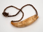 TABUA antique whale's tooth pendant on coier rope, 19th century, the tooth an impressive18cm long - 3