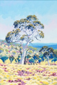 SHANE PICKETT (1957-2010), (ghost gum in landscape), oil on canvas, signed lower right "Shane Pickett", 90 x 59cm, 109 x 79cm overall