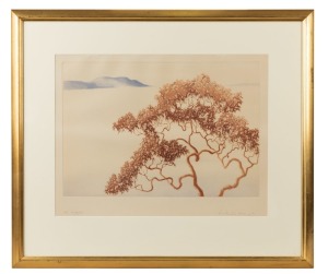 PETER VERNON HICKEY (1943 - ), Angophora, colour aquatint, 1/35, signed lower right "Hickey, '83", 41 x 54cm, 66 x 78cm overall