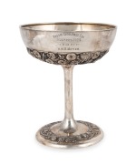"TASSIE&nbsp;CHALLENGE CUP, BILLIARDS 1929, WON BY H.N.D. MEYER" Australian silver trophy cup with unusual repousse floral decoration, 16.5cm high, 14cm wide, 284 grams.