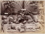 GUSTAVE RICHARD LAMBERT SINGAPORE & MALAYA IMAGES: albumen paper prints, circa 1880s, photographer&rsquo;s blind stamp on image lower right, all titled in the plate, approx. 20.5 x 27.5cm. (6). Titles "Entrane to Cairnhill, S'pore", "Sago Plantation; "Coffee P - 5
