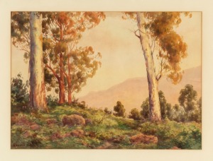 ARNOLD JARVIS (1881-1959), Evening in the Grampians, watercolour, signed lower left "Arnold Jarvis", remains of original paper label with title verso, 45 x 60cm, 74 x 90cm overall
